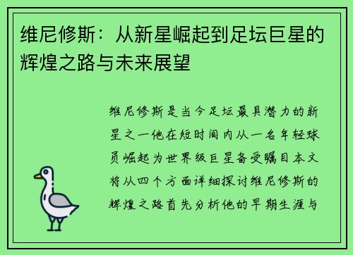 维尼修斯：从新星崛起到足坛巨星的辉煌之路与未来展望