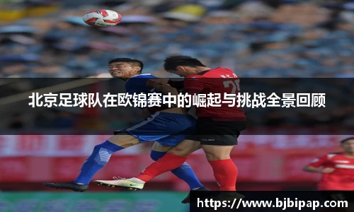 IM电竞-电子竞技平台